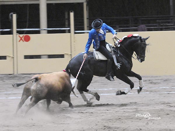 Banderola en mano