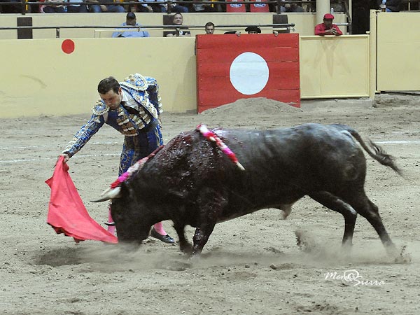 Tirando del crdeno