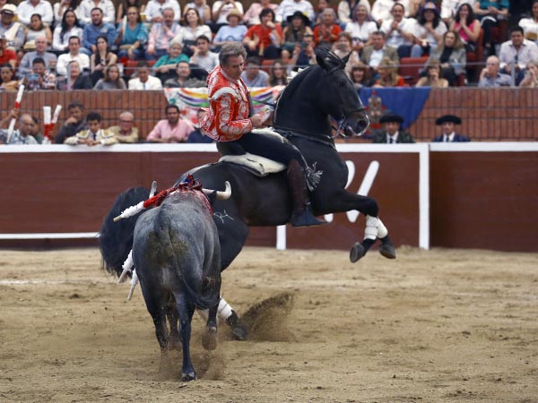 Piruetas de la jaca