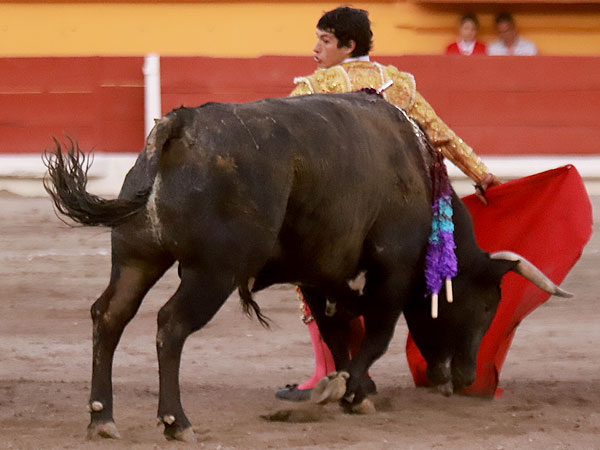 Variado y vibrante