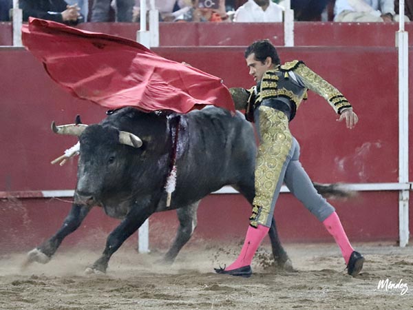 Toro de bandera