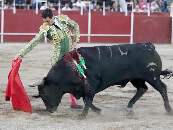 Templando al negro