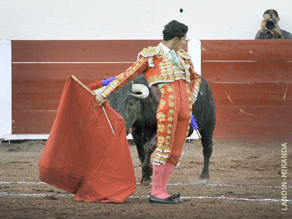 Bien plantado en la arena