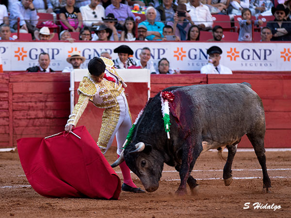 Templando la embestida