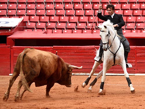 Caballista en la suerte