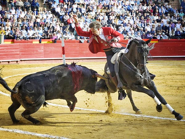 Luci en su segundo turno