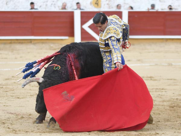 Luis David en Cercedilla