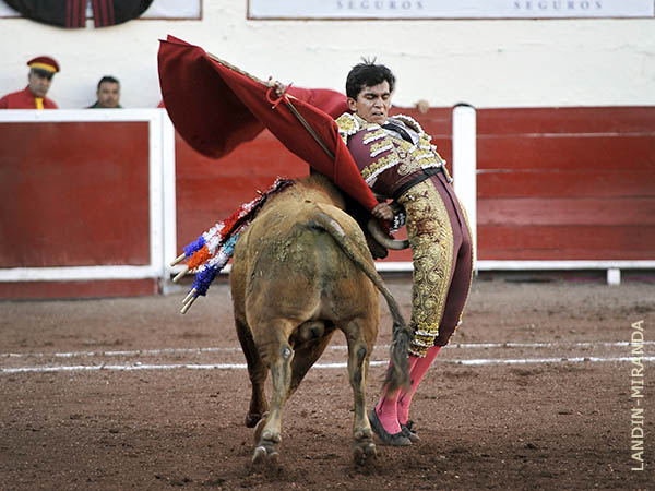 Mucha voluntad del torero