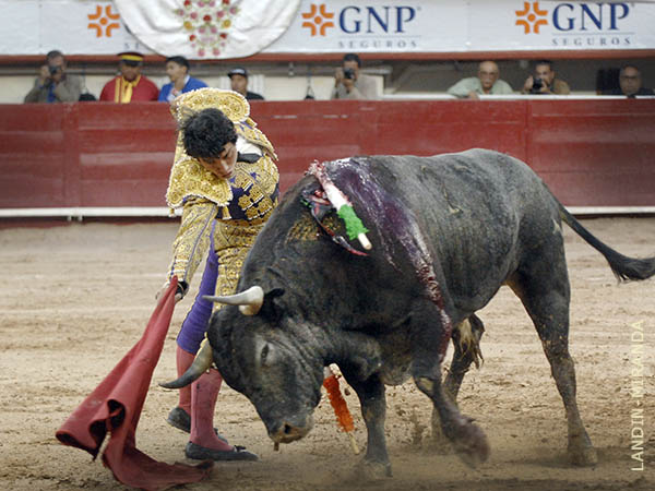 Torear ms a favor de los toros