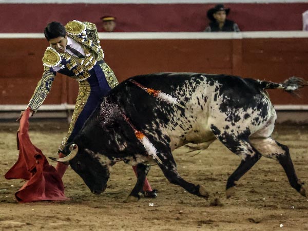 Cuaj muletazos de buen concepto