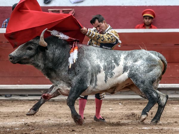 Determinacin y actitud