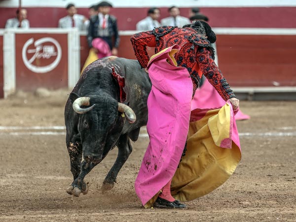 Voluntad y fijeza al engao