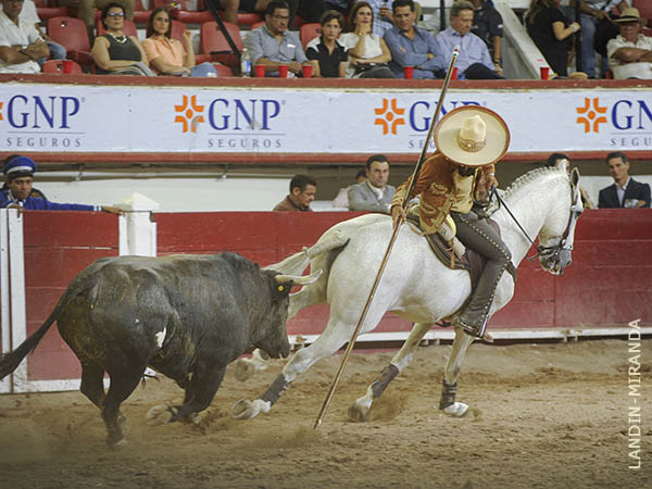 Regalo de Gamero, de Boquilla del Carmen