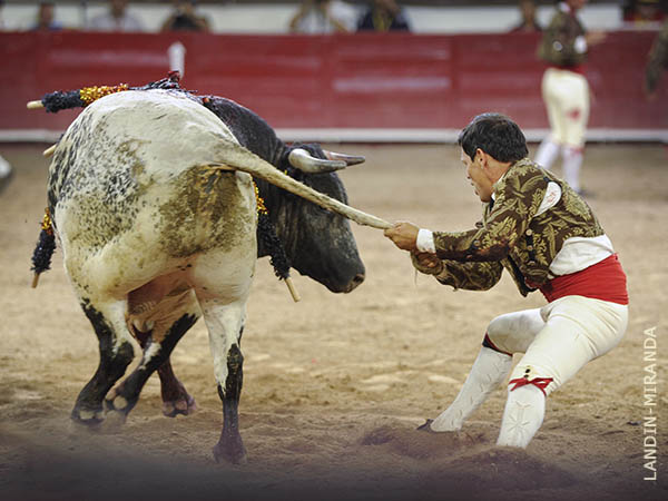 Ren, forcado homenajeado