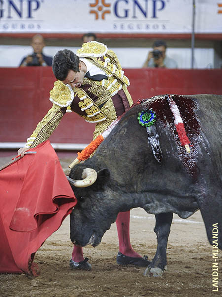 Tapndole la cara en cada muletazo