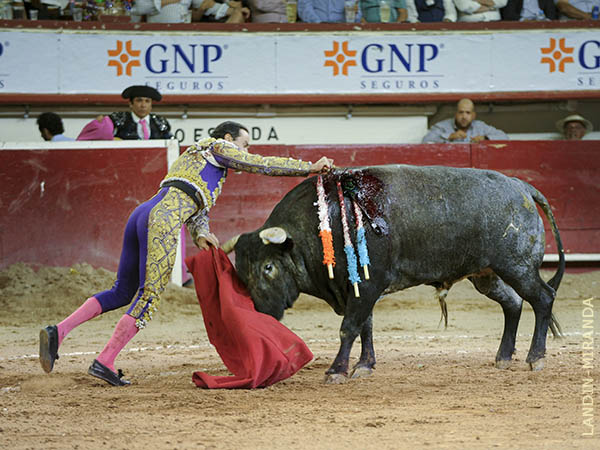 Espadazo contundente, otra oreja