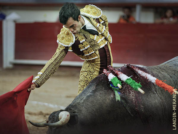 Centrado y torero