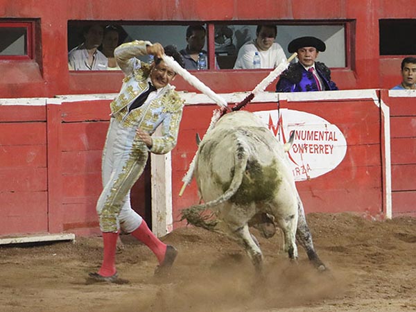 Maestro banderillero