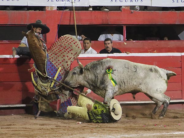 Lancero en peligro