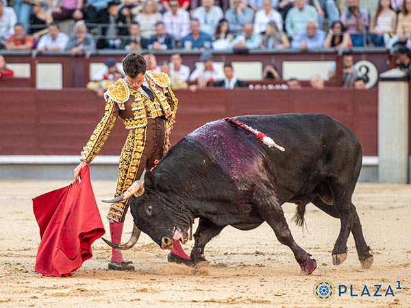 Luque, tarde esforzado