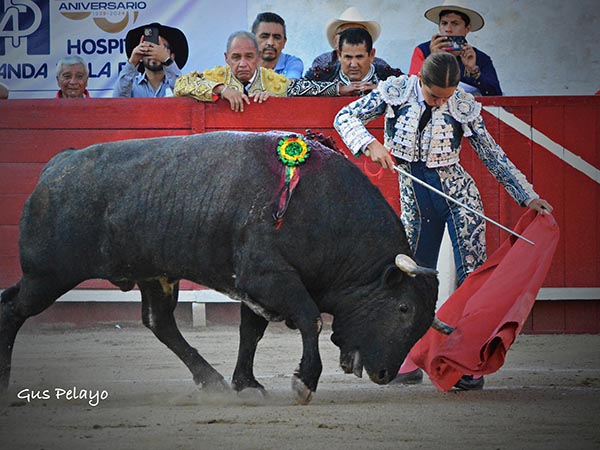 Ayudados a media altura