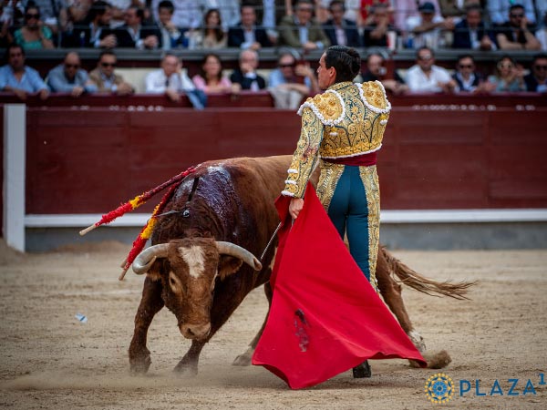 Variedad en las suertes