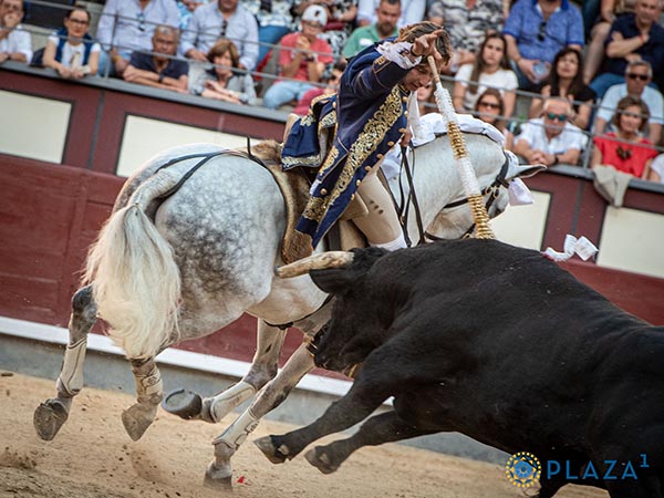 Banderilla de lujo