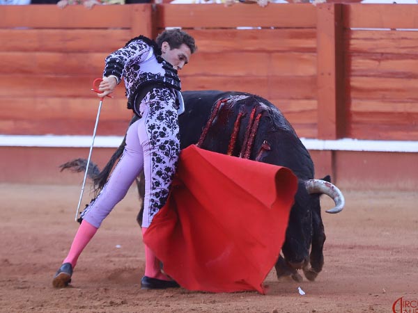 Variado en la muleta