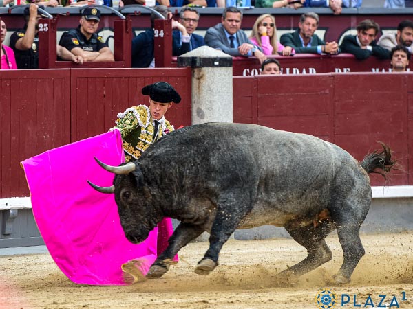 Lances de Borja