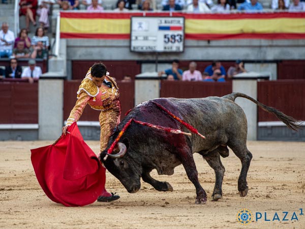 El derecho del crdeno