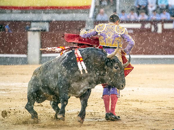 Tormenta