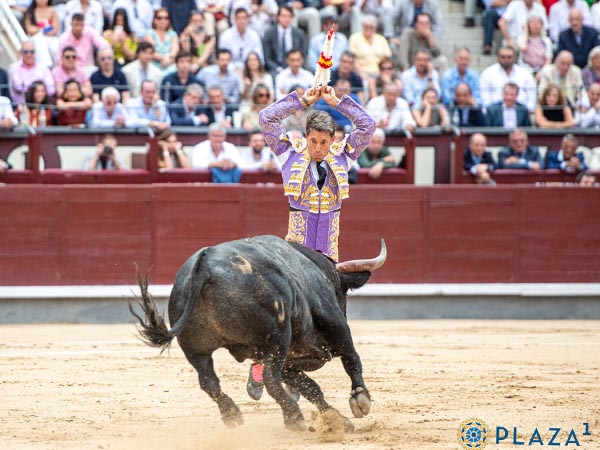 Jaleado en las banderillas