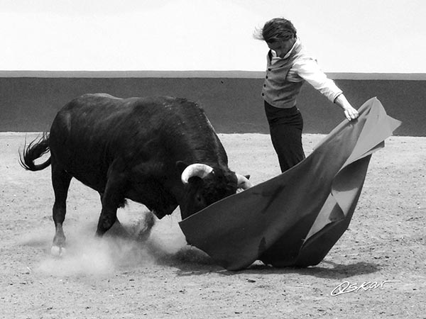 Tirando del ejemplar