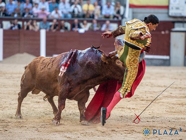 Torero en peligro