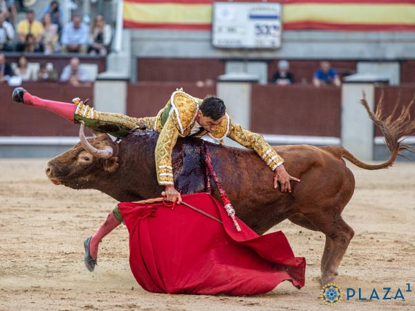 Voltereta en su segundo turno