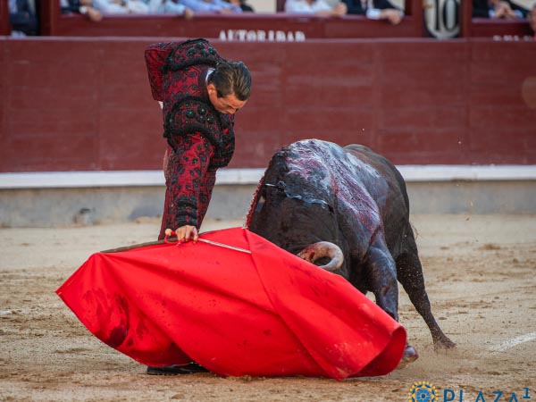 Bajando la mano diestra