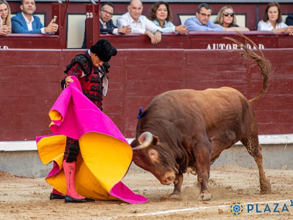 Saludo a la vernica