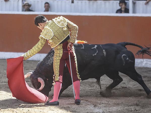 La izquierda de Francisco