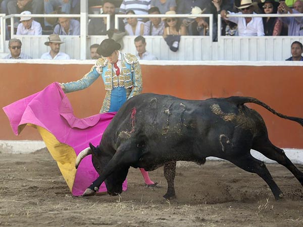 Saldvar, saluda a la vernica