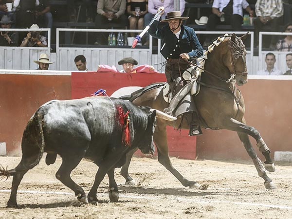 De castigo, al estribo