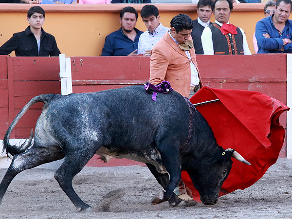 Torero con sello