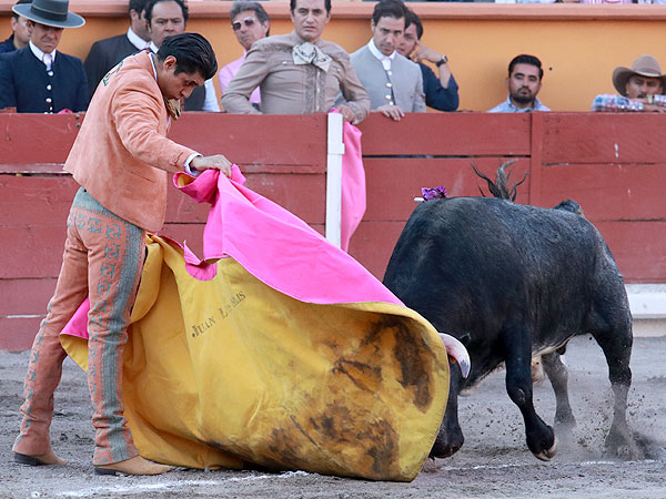 Juan Luis Silis y El Grullo