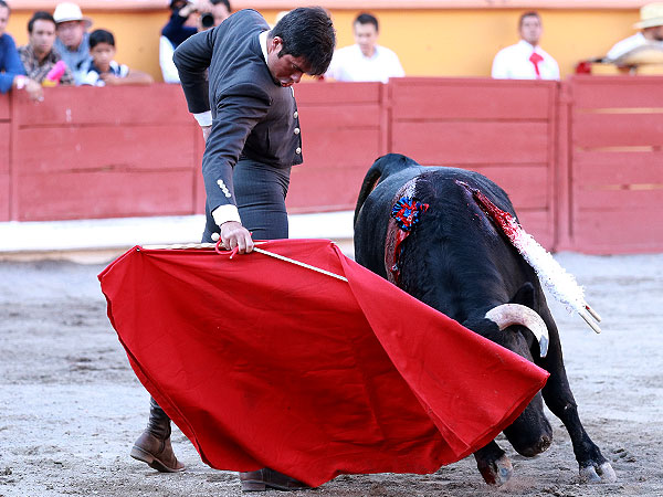 Seoro y oficio