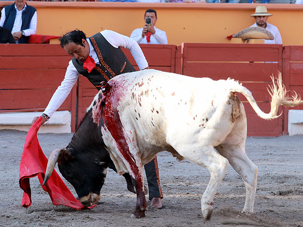 Voluntad y bravura