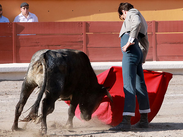 Calidad en la embestida