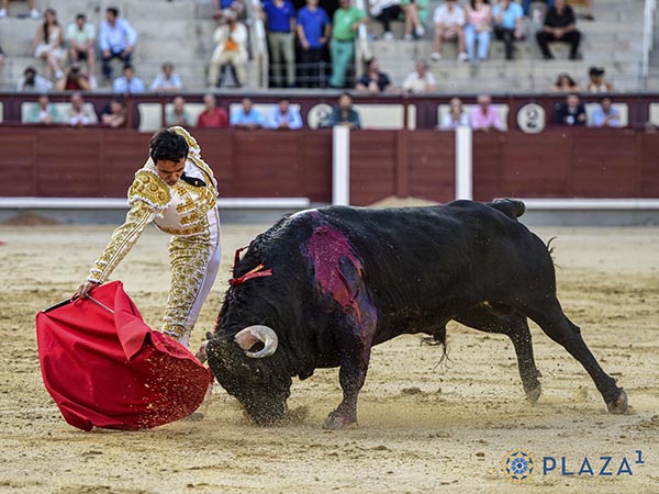 Faena en los medios