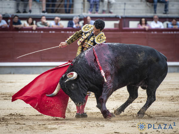 Adornos con la izquierda