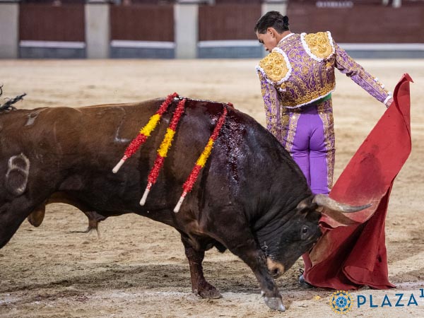 Valiente y variado