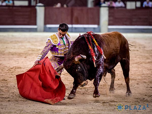 Rodilla en tierra