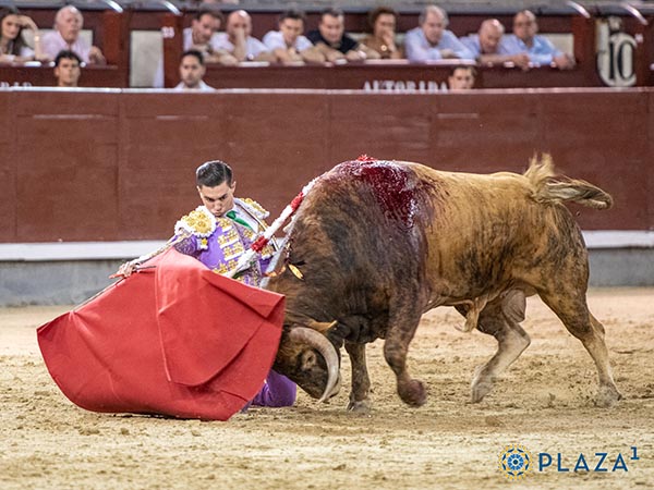 Humillado en la embestida